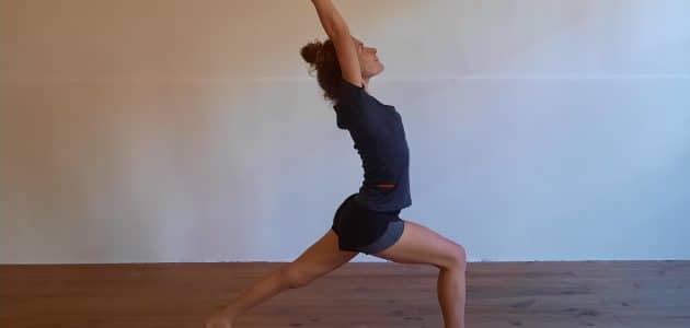 Introduction au yoga vinyasa