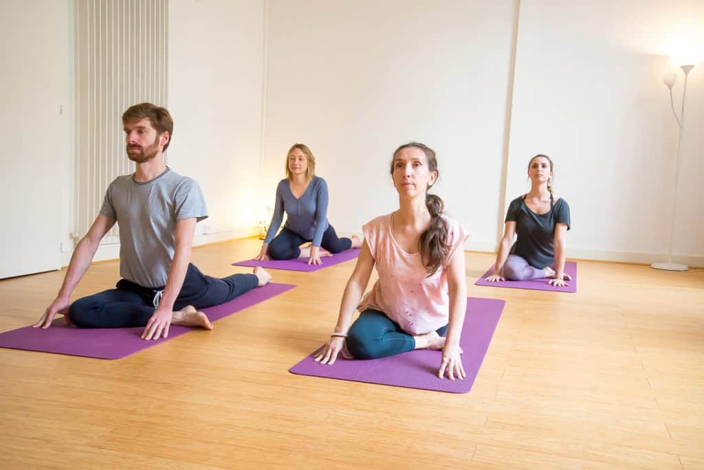 yoga vinyasa posture