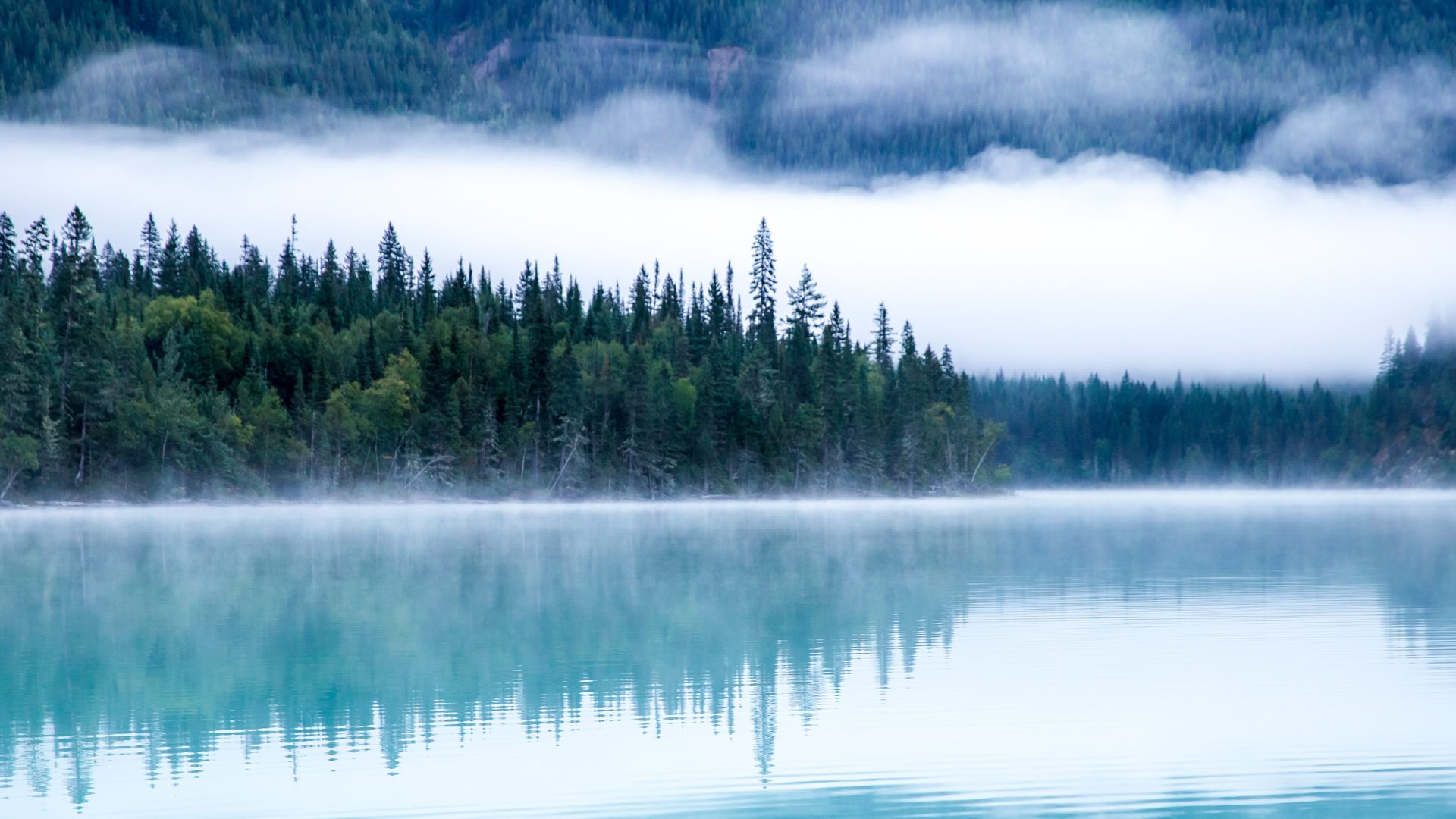 Lac de montagne aux eaux turquoise, forêt de sapins dans la brume