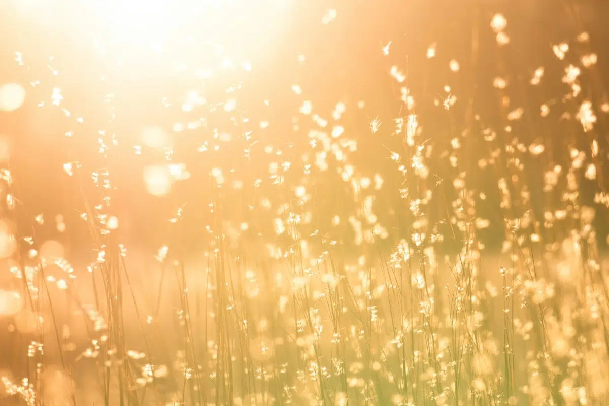 soleil, chaleur, prendre soin de soi en été avec le yoga à Lyon